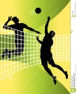 Чемпионат Владимирской области по волейболу среди мужских команд